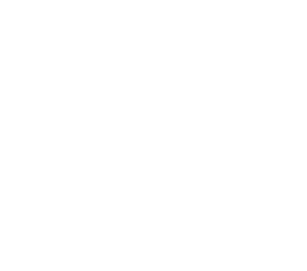 2025-SOI-Hexagon-Outline.png